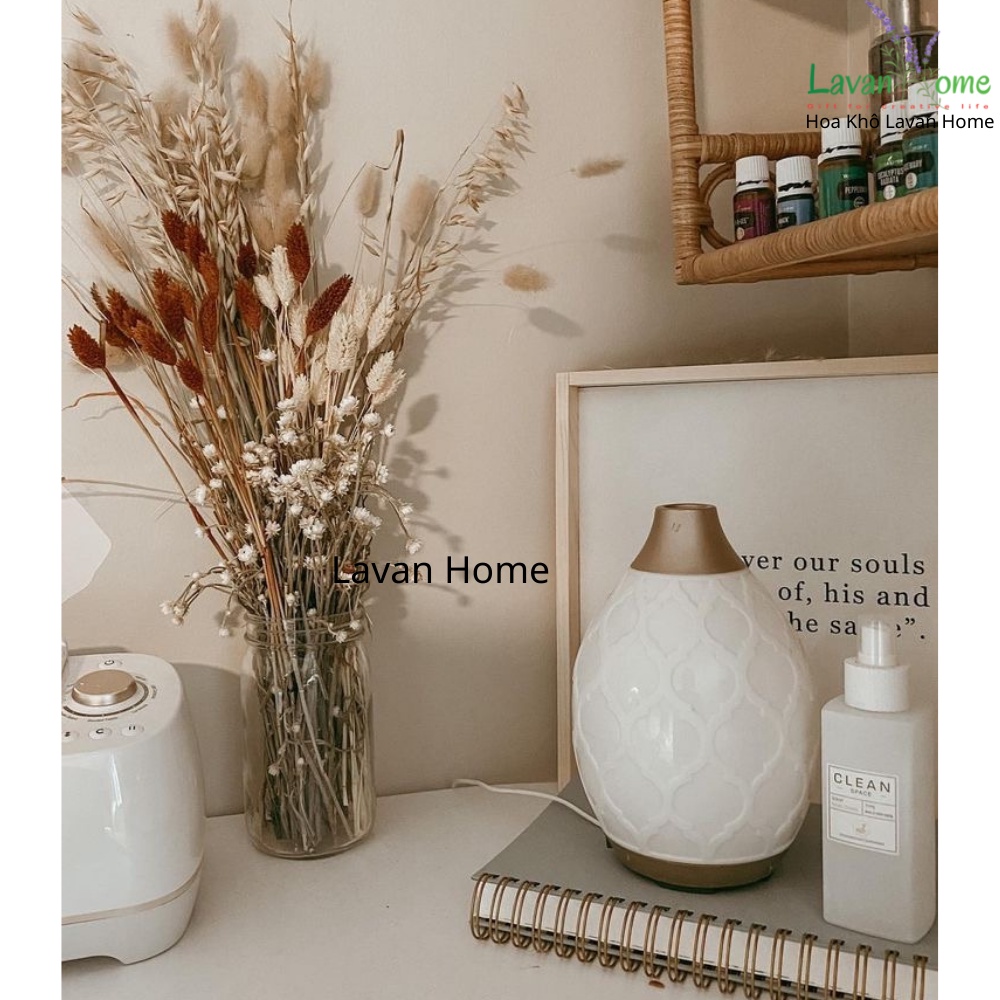 Hoa khô Phalaris Hà Lan siêu đẹp, dùng trang trí, cắm hoa, làm thiệp, nến thơm, decor hoặc phụ kiện chụp ảnh, decor