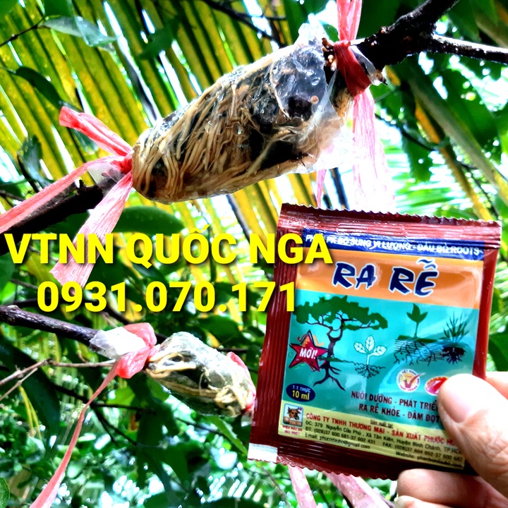 PHÂN BÓN LÁ SIÊU RA RỄ