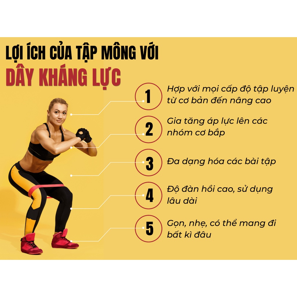Dây Mini Band Dây Cao Su Kháng Lực Aolikes Tập Chân Mông AL 3601