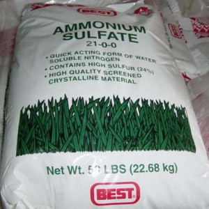 2SO4 500 gam Amoni Sunfat  chất lượng cao