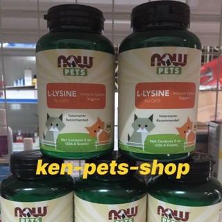tăng hệ miễn dịch cho mèo l-lysine