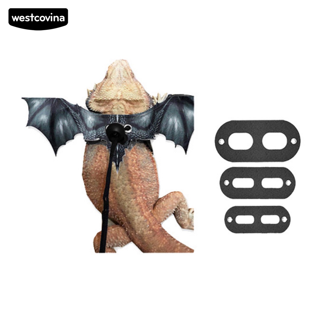 Dây Dắt Thú Cưng Bò Sát Thiết Kế Nhẹ Thoải Mái