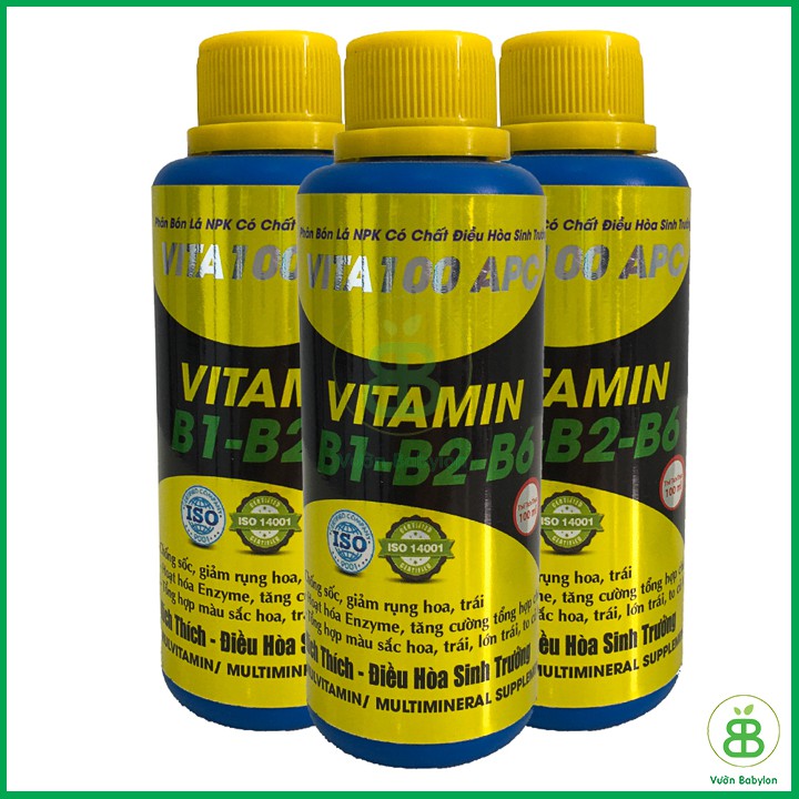 Phân Bón Lá Vitamin B1-B2-B6 VITA100 APC Chai 100ml