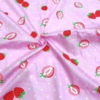 VẢI THÔ KATE LỤA 🍓 V161