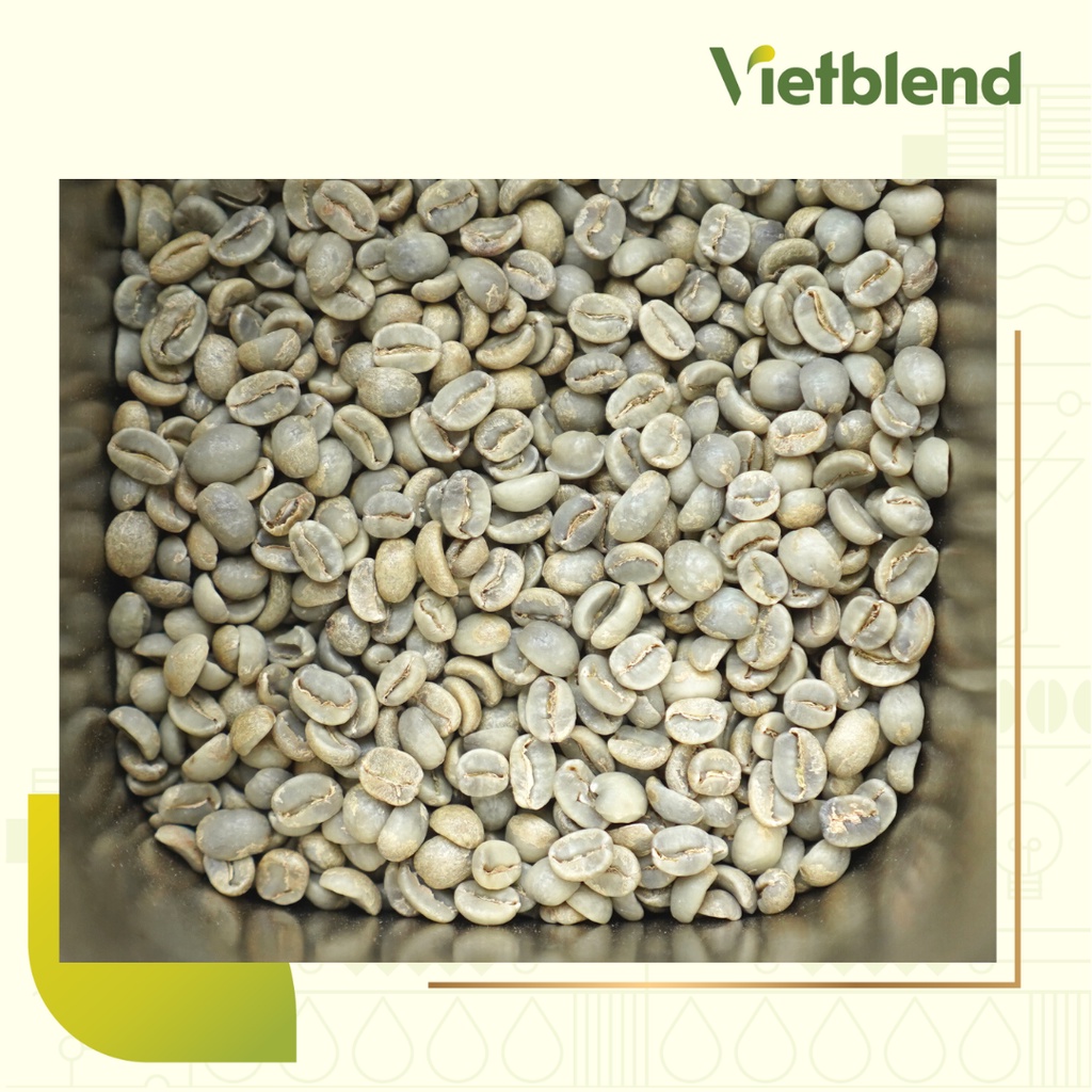 Cà phê hạt nguyên chất Arabica Việt | Cà phê rang xay thượng hạng | BigBuy360 - bigbuy360.vn