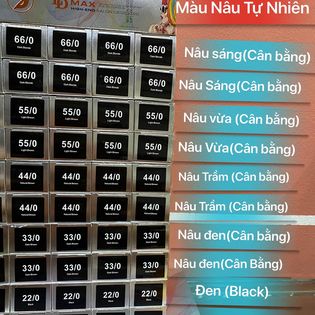 (CHÍNH HÃNG) GIÁ SỈ Thuốc Nhuộm LD Max Phủ Bạc (KHÔNG KÈM OXI)