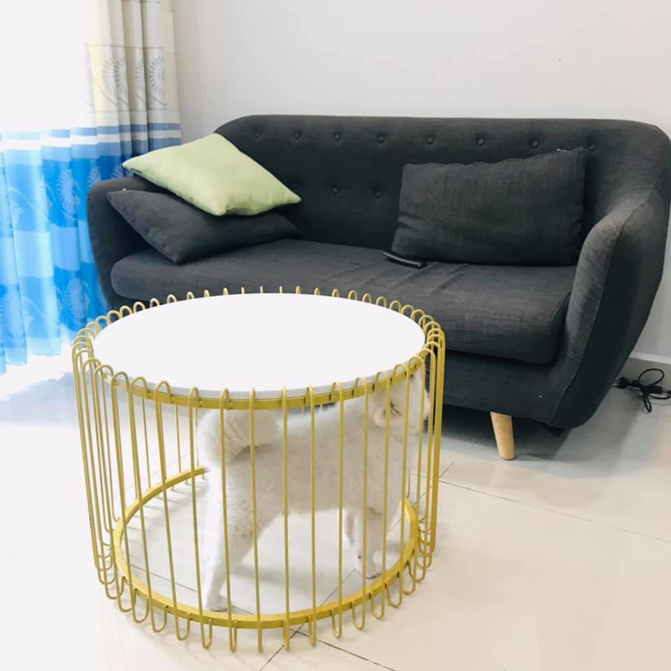 Bàn sofa,bàn trà lồng chim, sơn tĩnh điện, mặt đá vân mây dày 14mm
