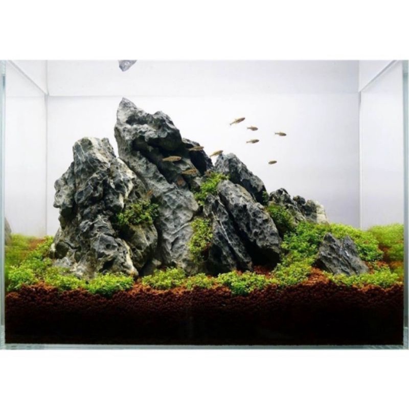 Đá Kẹp Kem 1 Kg - Đá Trang Trí Bể Cá Cảnh, Bể Thủy Sinh