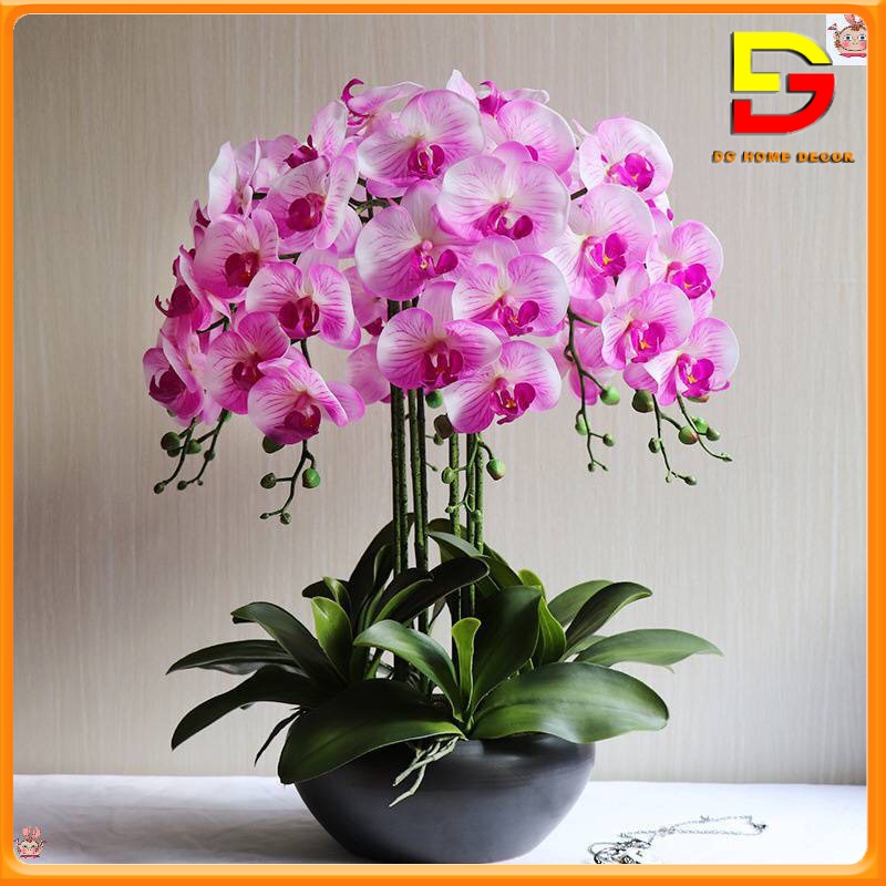 Bình Hoa Lan Hồ Điệp Cao Su Y Thật Hoa Để Bàn Cao 60cm Trang Trí Phòng Khách Quầy Lễ Tân DG-125