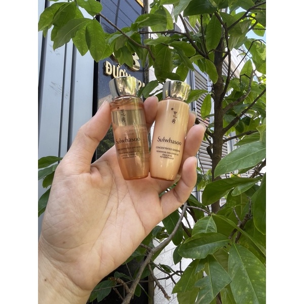 Cặp nước hoa hồng và sữa dưỡng nhân sâm Sulwhasoo Concentrated Gingseng Renewing 25ml