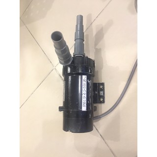Bơm nội địa nhật