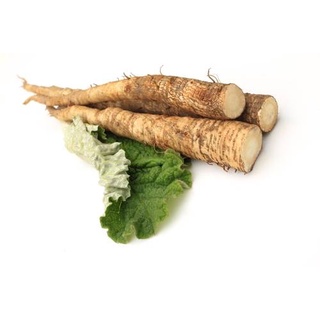 Hạt Giống Ngưu Bàng Thảo Dược