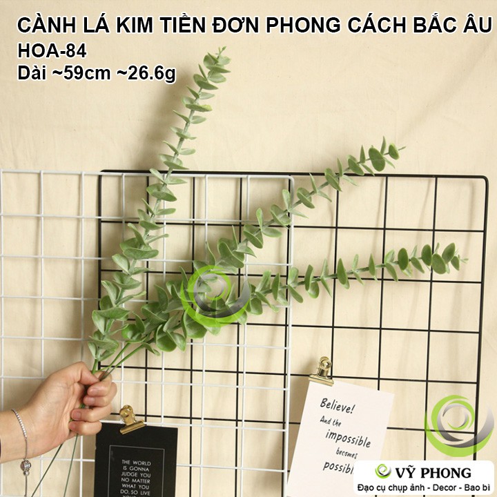 CÀNH LÁ KIM TIỀN ĐƠN DÀI STYLE NORDIC TRANG TRÍ ĐÁM HÌNH ĐẠO CỤ CHỤP ẢNH SẢN PHẨM INS HOA-84