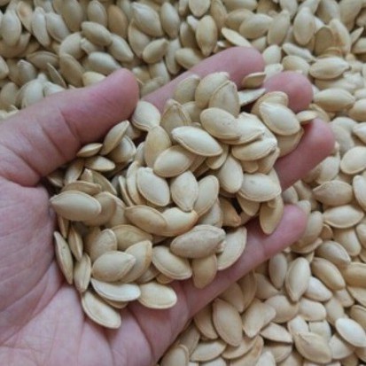 HẠT BÍ TA RANG SẴN Loại 1KG Hạt Đều và Mẩy
