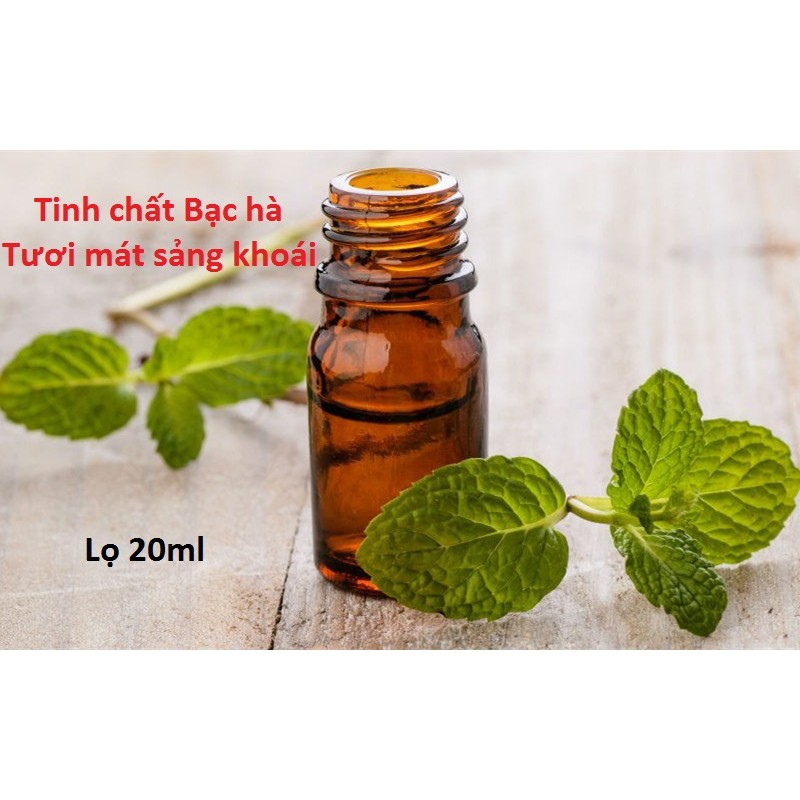 Tinh dầu Bạc hà cao cấp lọ 20ml