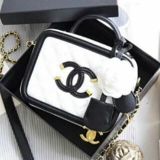Chanel case
