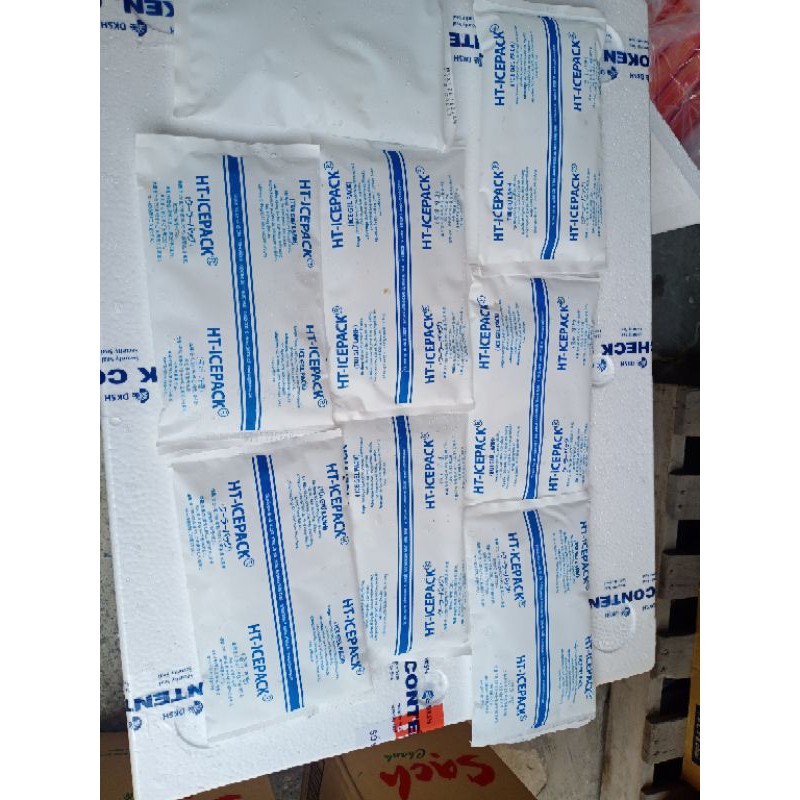 Đá khô, đá gel giữ lạnh 350g làm tươi thực phẩm 24h