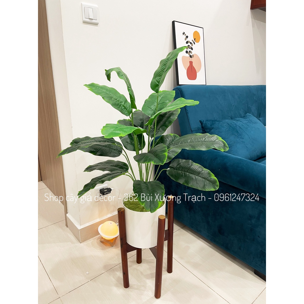 Cây trầu bà 18 lá to 75cm - nhiều mẫu - cây giả