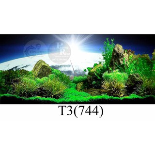 Tranh bể cá 3d