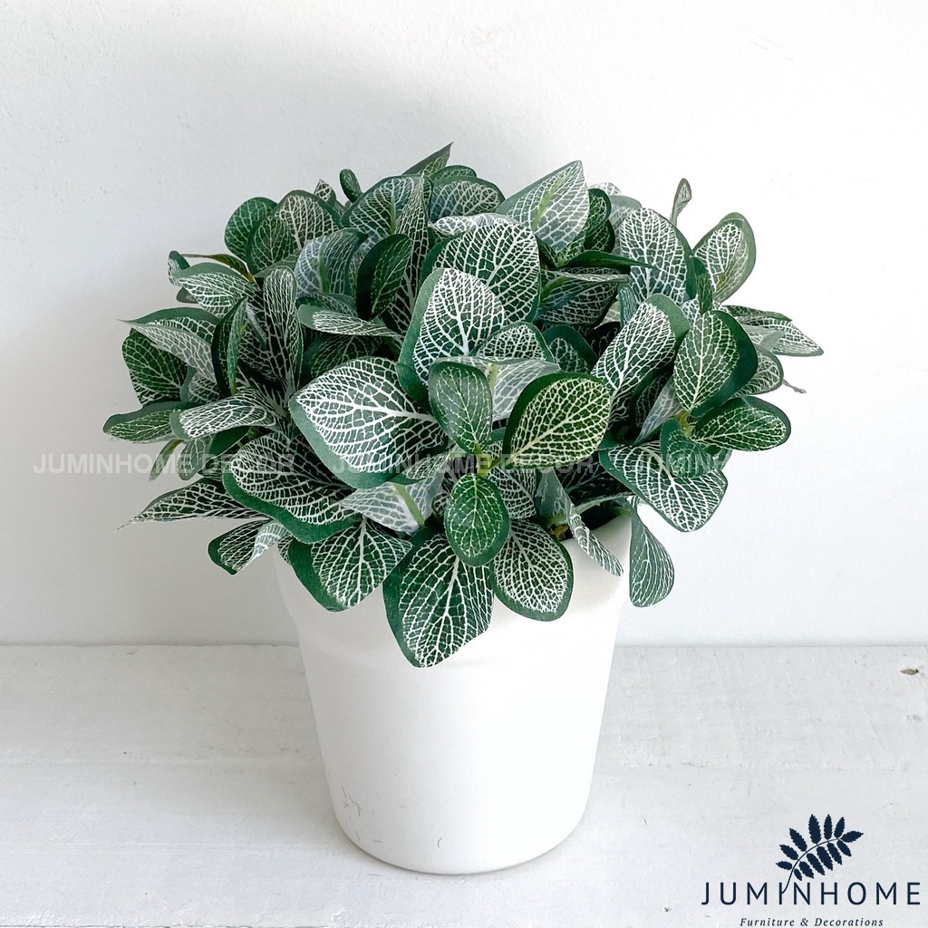 Cây giả Decor - Chậu cây mini Decor Trang trí để bàn