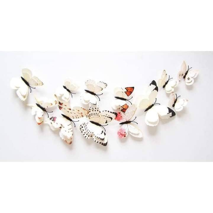 Bướm 3d 2 lớp cánh kép mẫu mới nhất | BigBuy360 - bigbuy360.vn