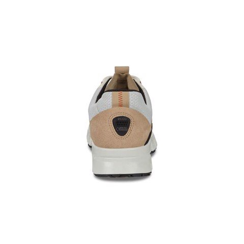 Giày Sneaker, Thể Thao Nam ECCO Multi-Vent M-88014451872