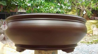 Sơn chậu kiểng thế hệ mới