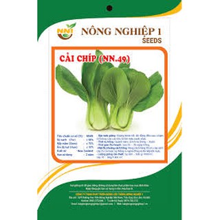 HẠT GIỐNG RAU CẢI CHÍP