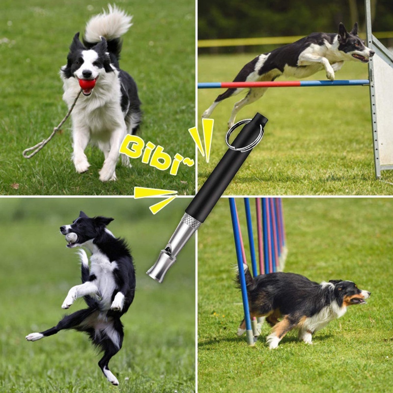 Set 2 Còi Siêu Âm Huấn Luyện Cún Cưng Chuyên Dụng