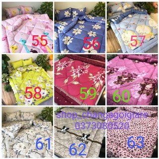 Bộ ga gối chăn phao 5 món poly cotton