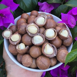 HẠT MẮC CA SẤY LOẠI 1