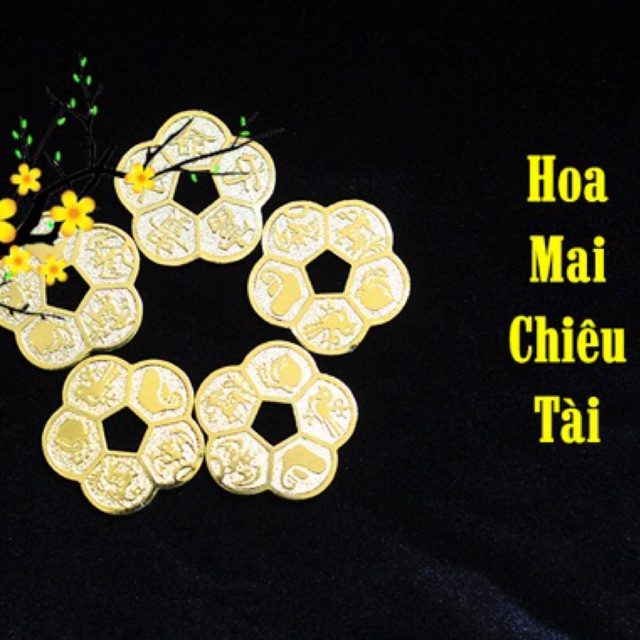 Tiền Xu Hoa Mai Chiêu Tài