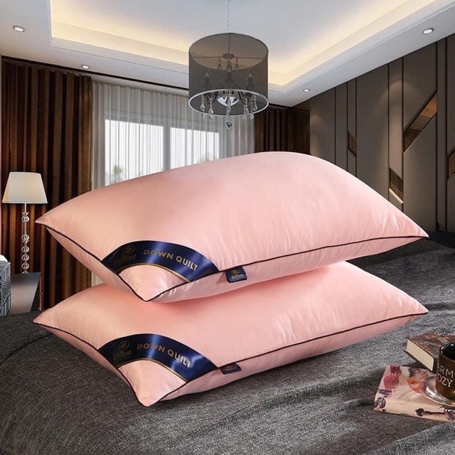 Đôi Gối Hiton Cao Cấp Với giá tầm trung kháng khuẩn