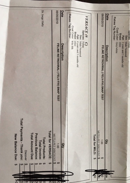 Nước hoa Eros versace vỏ xanh chuẩn AUTH | BigBuy360 - bigbuy360.vn