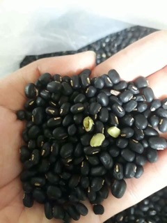 < SALE> Đậu đen quê xanh lòng 500g ( chuẩn đậu quê)
