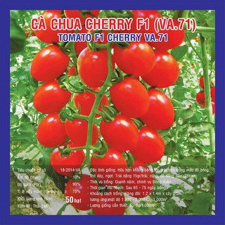 Hạt giống Cà Chua Cherry Đỏ F1 (VA.071) Chịu Nhiệt – 50 Hạt