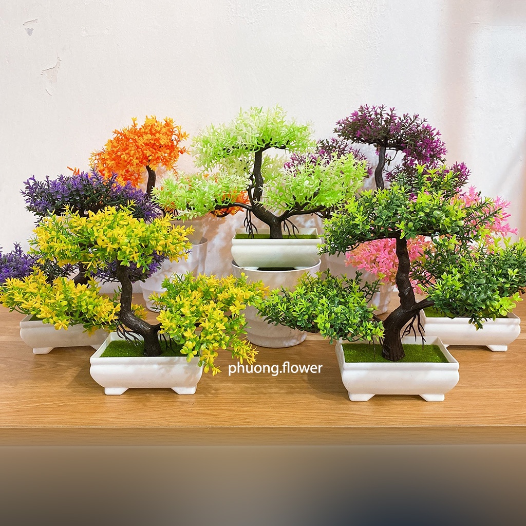 Chậu cây thông bonsai giả nhựa 3 tán kèm chậu trang trí nội thất để bàn cực đẹp kích cỡ 25cm x 18cm
