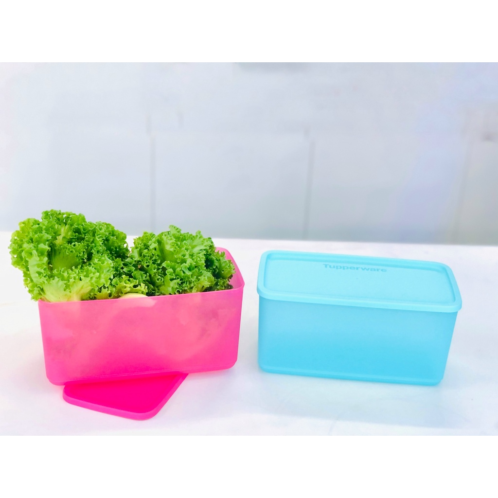 Lẻ hộp trữ mát size to Funtastic 3.1L Tupperware, trữ rau củ quả tươi đến 1 tuần, nhựa nguyên sinh an toàn