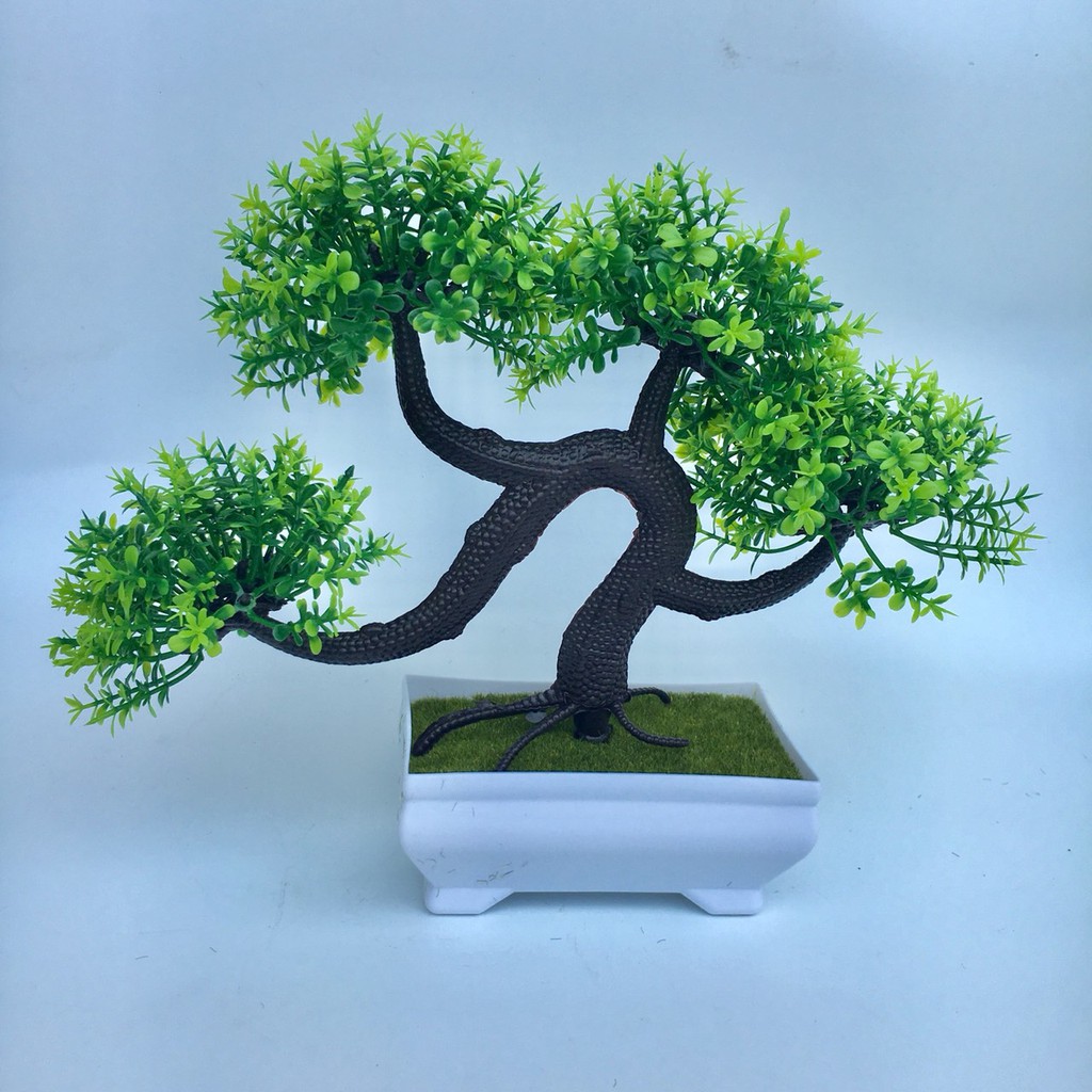 Cây giả, chậu cây tùng bonsai thế phượng vũ độc đáo trang trí nhà cửa