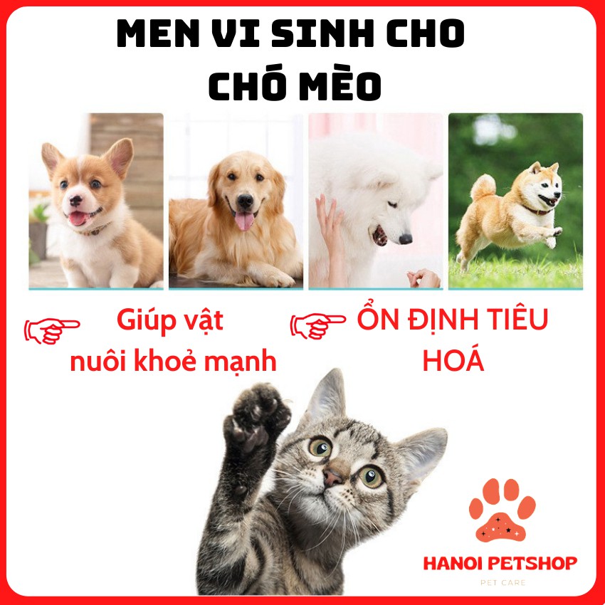 [HIỆU QUẢ 100%] Men Vi Sinh Cho Chó Mèo- Men Tiêu Hoá Ngăn Ngừa, Hỗ Trợ Đường Tiêu Hóa, Viêm Đường Ruột- Gói 5g