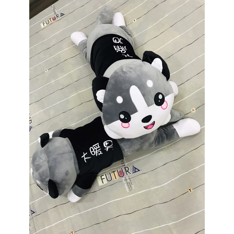 Mèo husky gối ôm