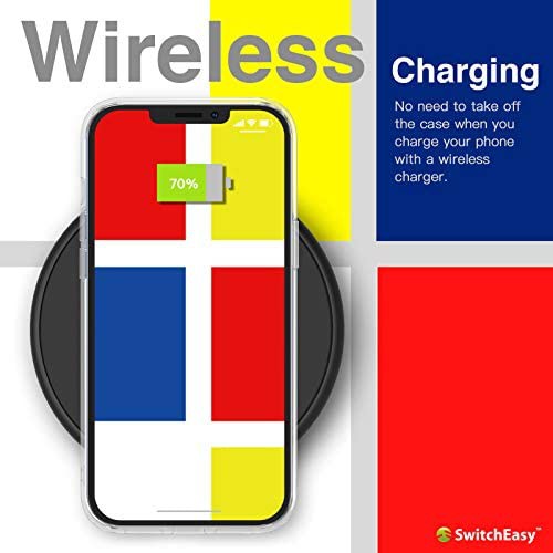 Ốp Lưng SwitchEasy Artist Cho iPhone 12 / 12 Pro / 12 Pro Max