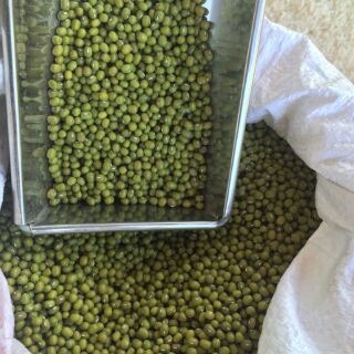 [FREESHIP TỪ 99K] Đỗ xanh quê 1kg