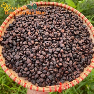 (FREESHIP) Hạt Dổi rừng Tây Bắc -100gr, Hạt Dổi Sìn Hồ Lai Châu (hàng chuẩn tự nhiên)