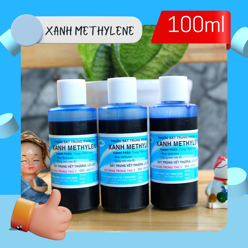 Xanh Methylen Chăm sóc cá cảnh