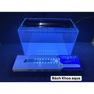 Đèn led mix màu Heeba 40cm-80cm