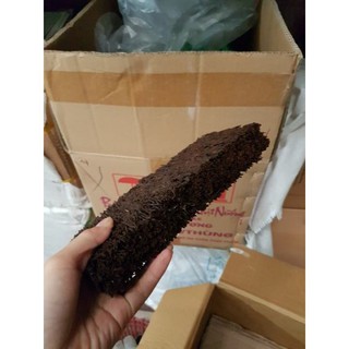 Bản dớn trồng lan kích thước 10x20x3cm giữ ẩm siêu tốt