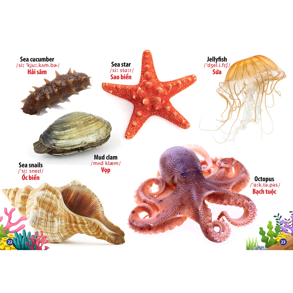 Sách - Thư Viện Hình Ảnh Song Ngữ Đầu Tiên Của Bé - Động Vật Dưới Nước