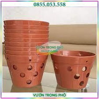 Bộ 10 chậu lan giả đất nung đường kính 17cm