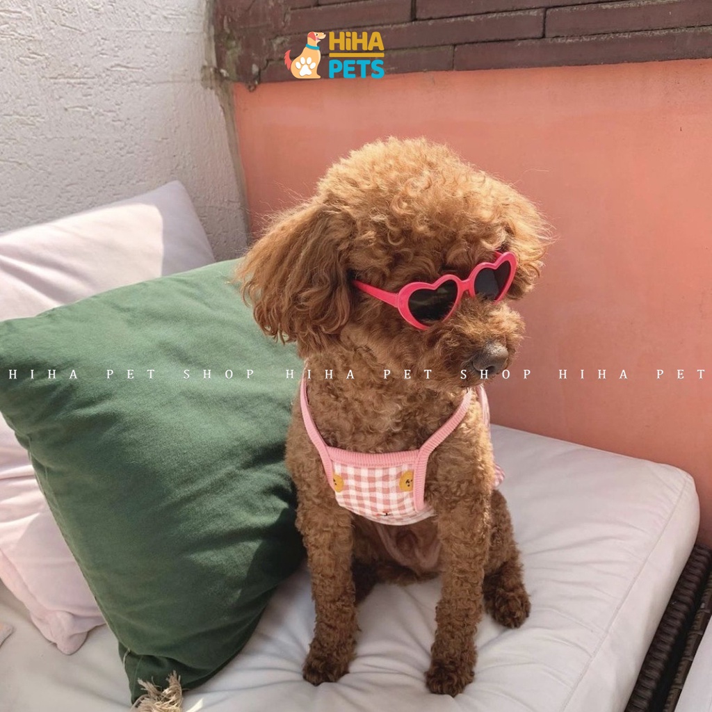 Mắt Kính Cho Chó Mèo Đi Bơi Phụ Kiện Kính Thời Trang Cho Thú Cưng Chụp Ảnh Dễ Thương Sành Điệu Hihapet.